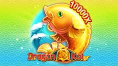DragonKoi
